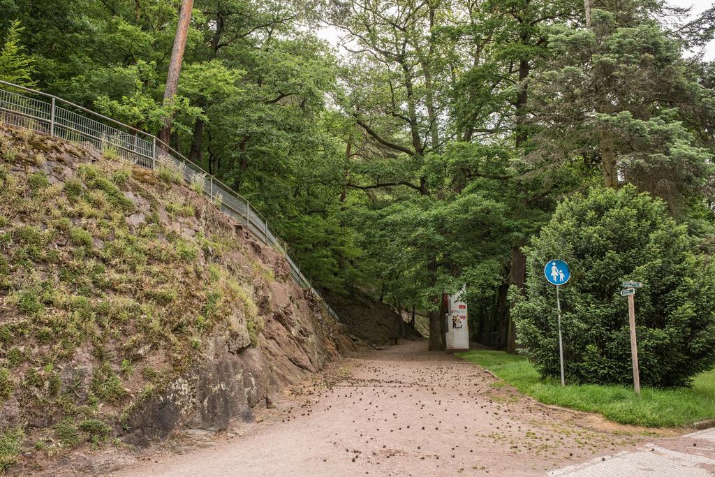 Loftwohnung Mit Sauna - Natur Und Kultur In Eisenach Erleben Und Geniessen Luaran gambar